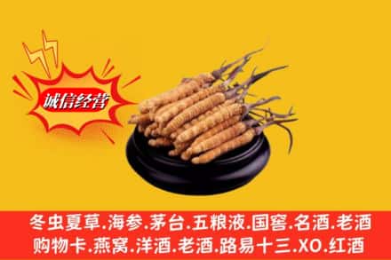 天水求购回收虫草多少钱每克